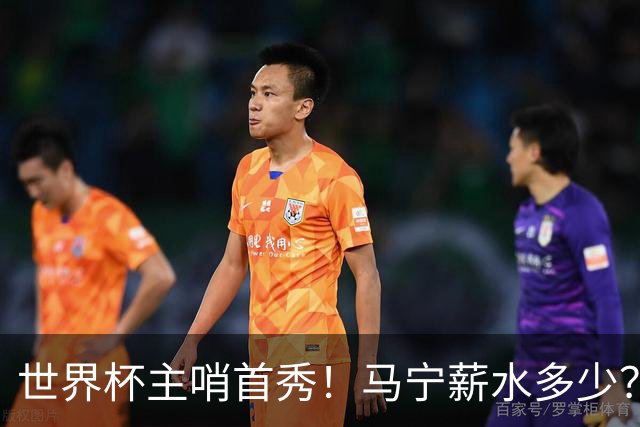 世界杯主哨首秀！马宁薪水多少？主裁判5万美元+单场奖金2000美元